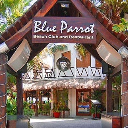 Blue Parrot Suites Playa del Carmen Luaran gambar