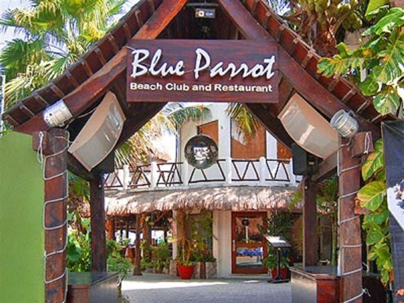 Blue Parrot Suites Playa del Carmen Luaran gambar