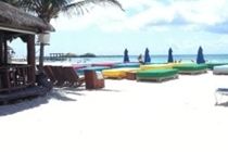 Blue Parrot Suites Playa del Carmen Luaran gambar